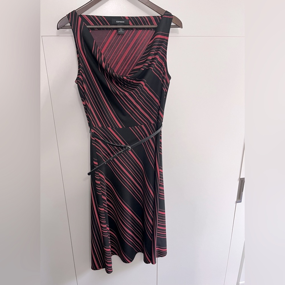 Express Belted Dress